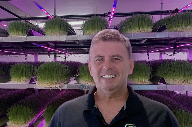Chris Levick inside an operating hydroponic fodder room, with racks of sprouted barley behind him