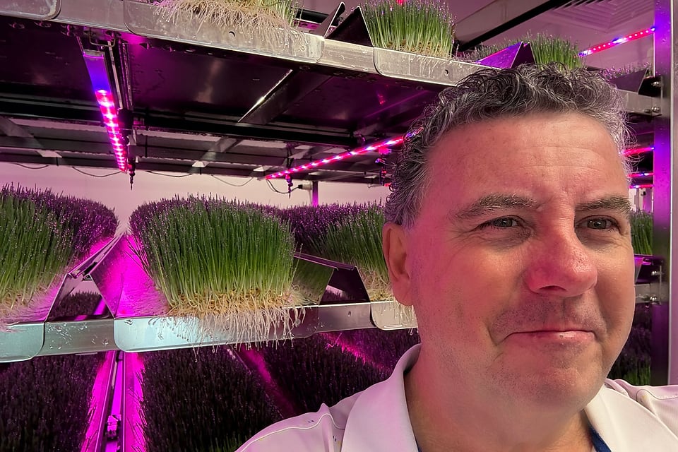 Chris Levick standing among racks of sprouted barley under grow lights