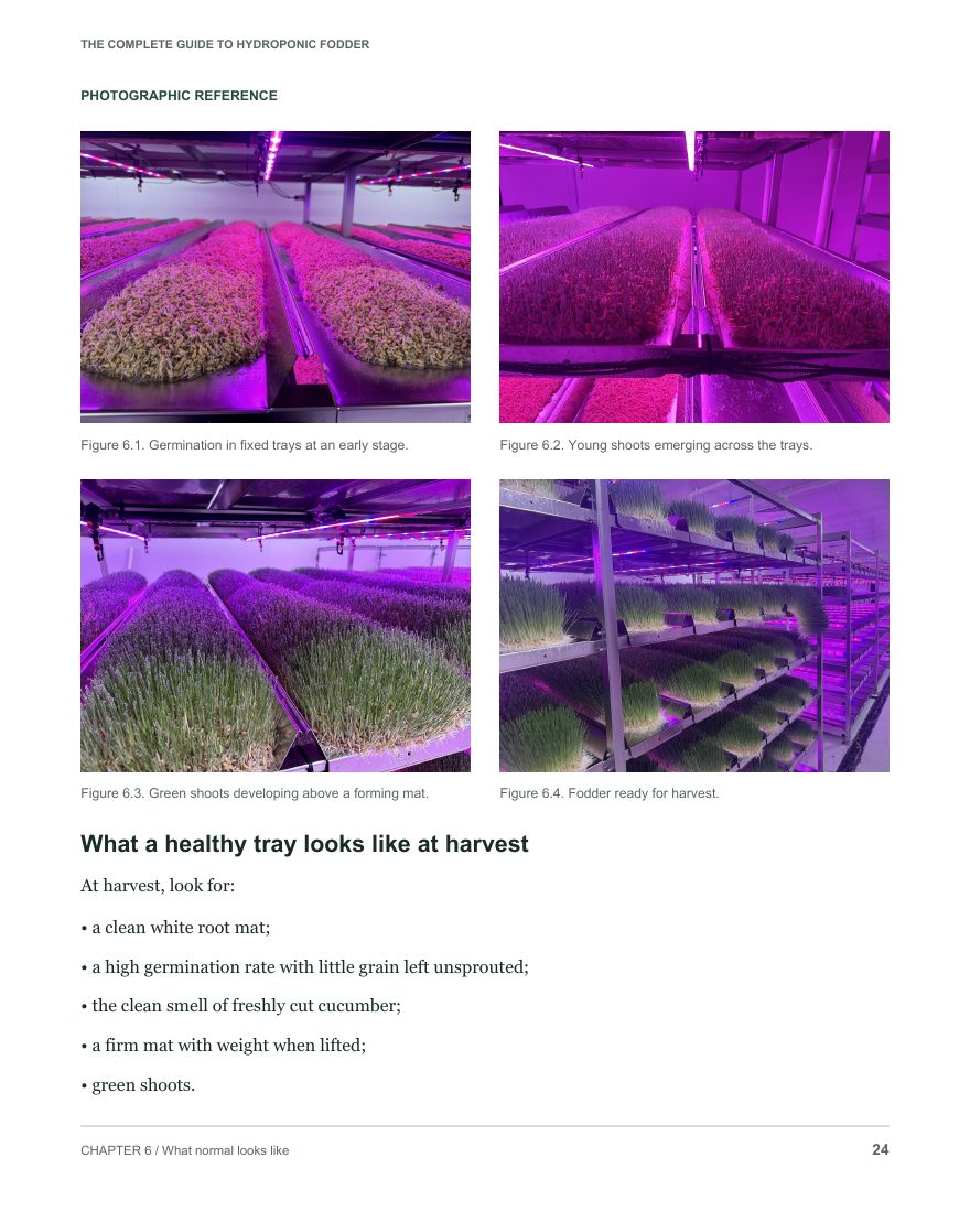 Guide page 24: Recognise healthy growth
