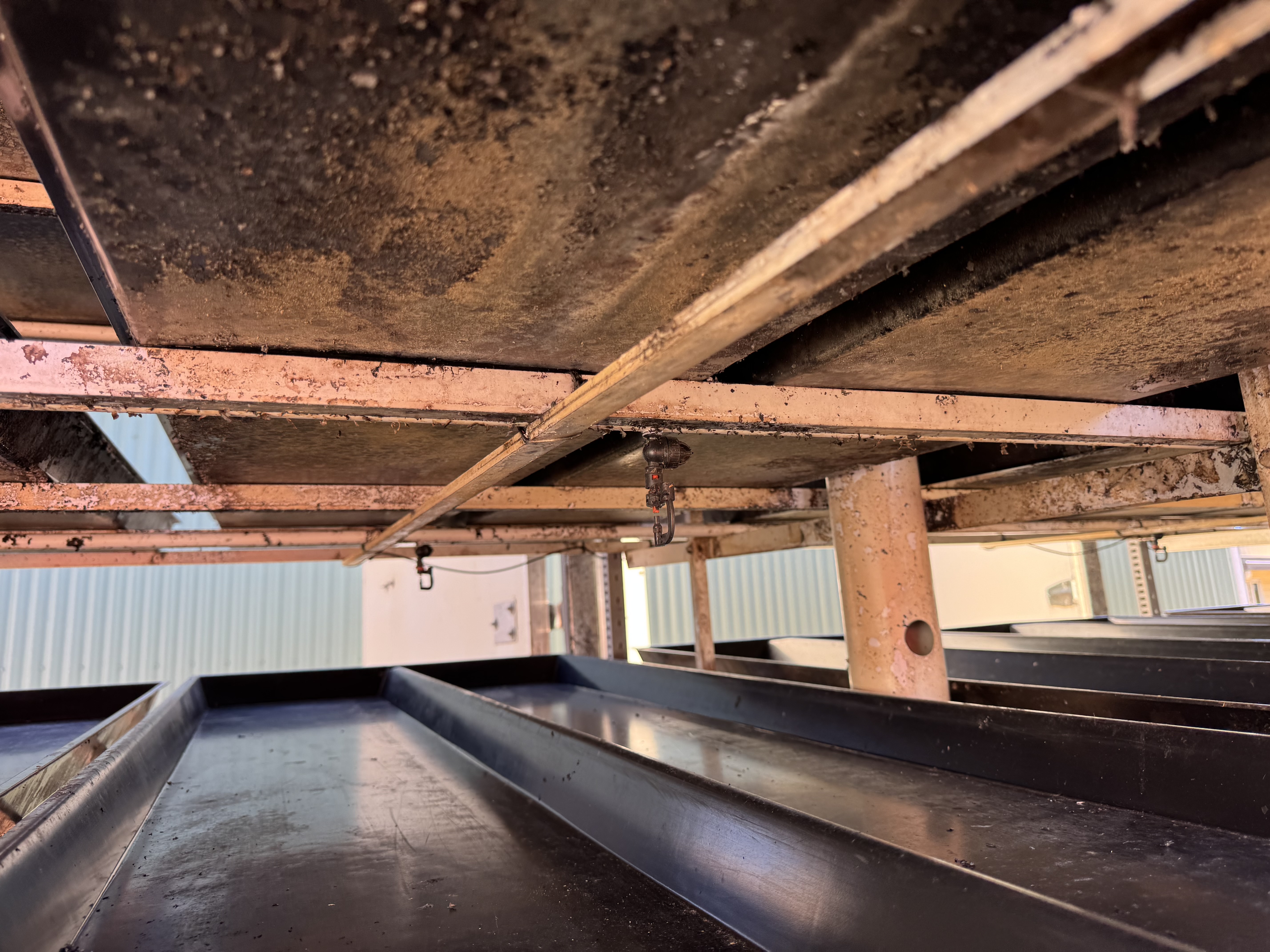Fodder Solutions FS-900 Commercial Hydroponic Fodder System